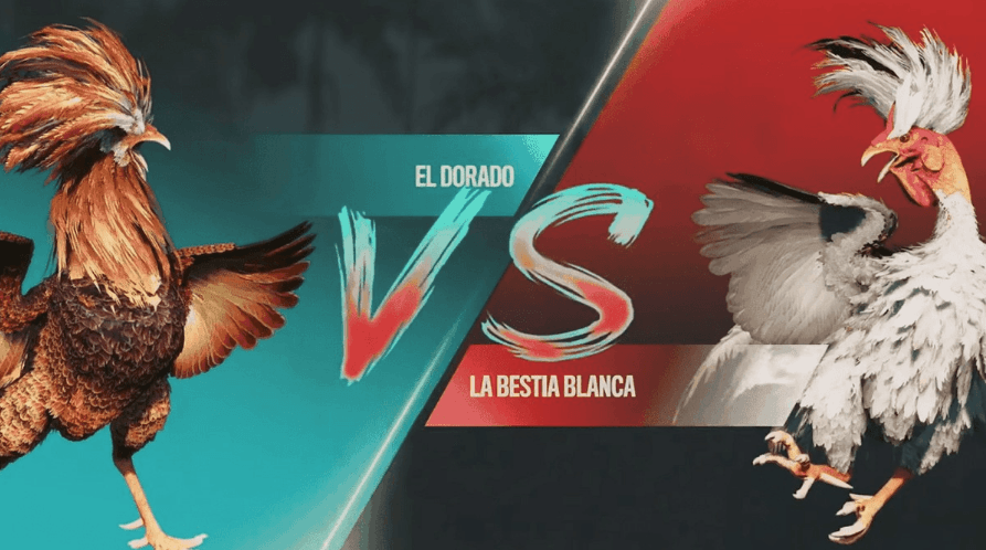 9099 Login no App de Esports